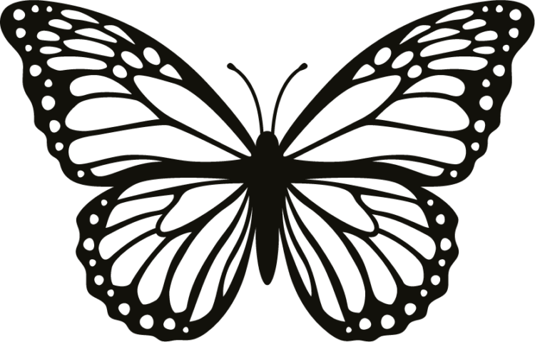 Butterfly SVG