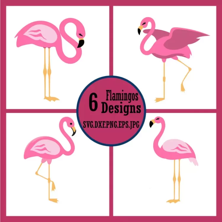 Flamingos SVG