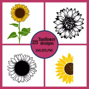 sunflower svg