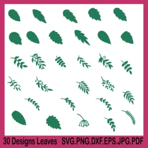 Leaves SVG