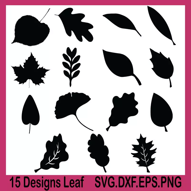 leaf svg