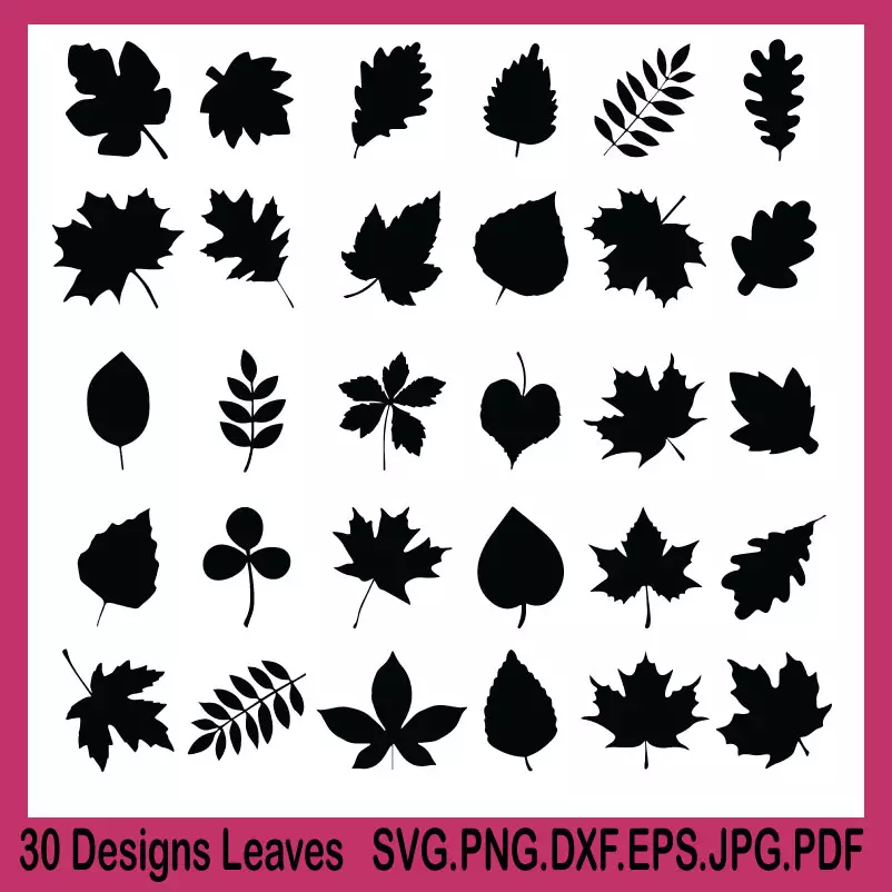 leaves svg