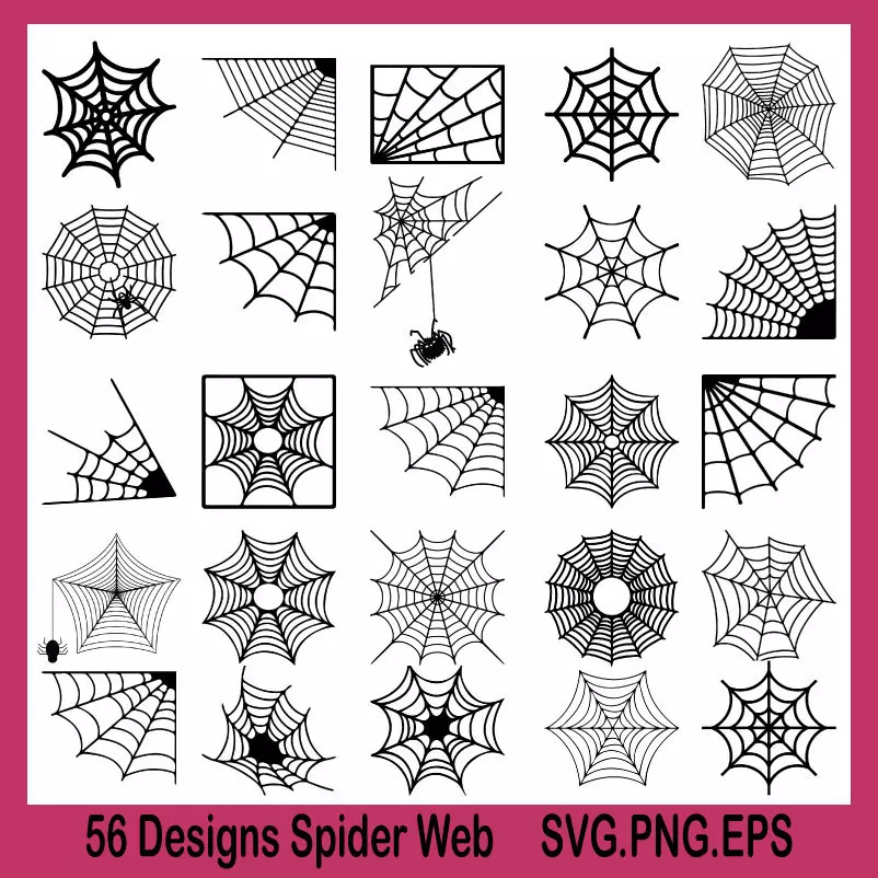 spider web svg