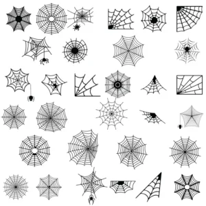 spider web svg